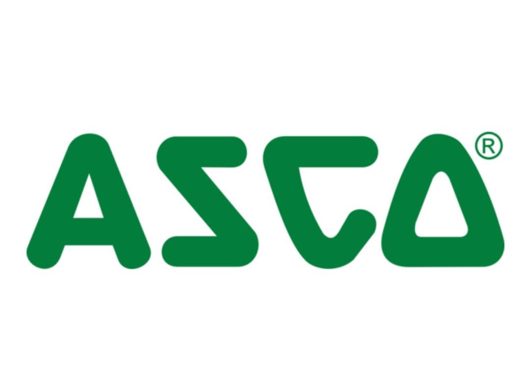 Logo de Azca
